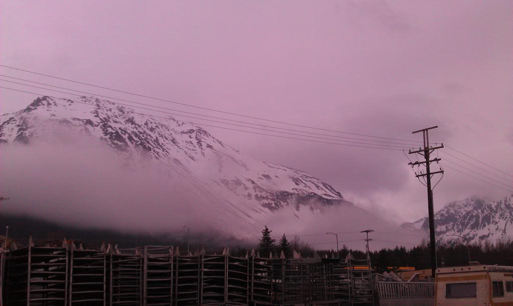 Name:  IMAG0146_zpsfe32bcb4.jpg
Views: 563
Size:  49.4 KB