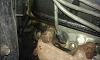 99 Drive Shaft, Valve Cover, Exhaust, and Oil Pan Questions...-imag0027.jpg