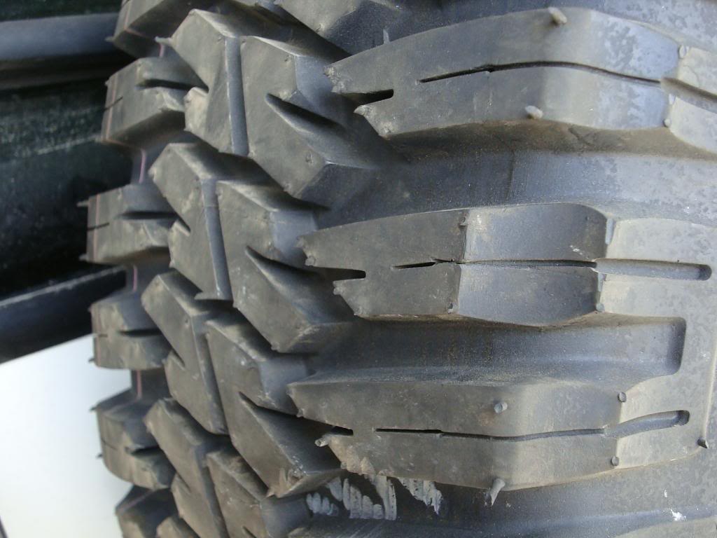 Name:  DSC01979_zps5655b8ac.jpg
Views: 1328
Size:  79.3 KB