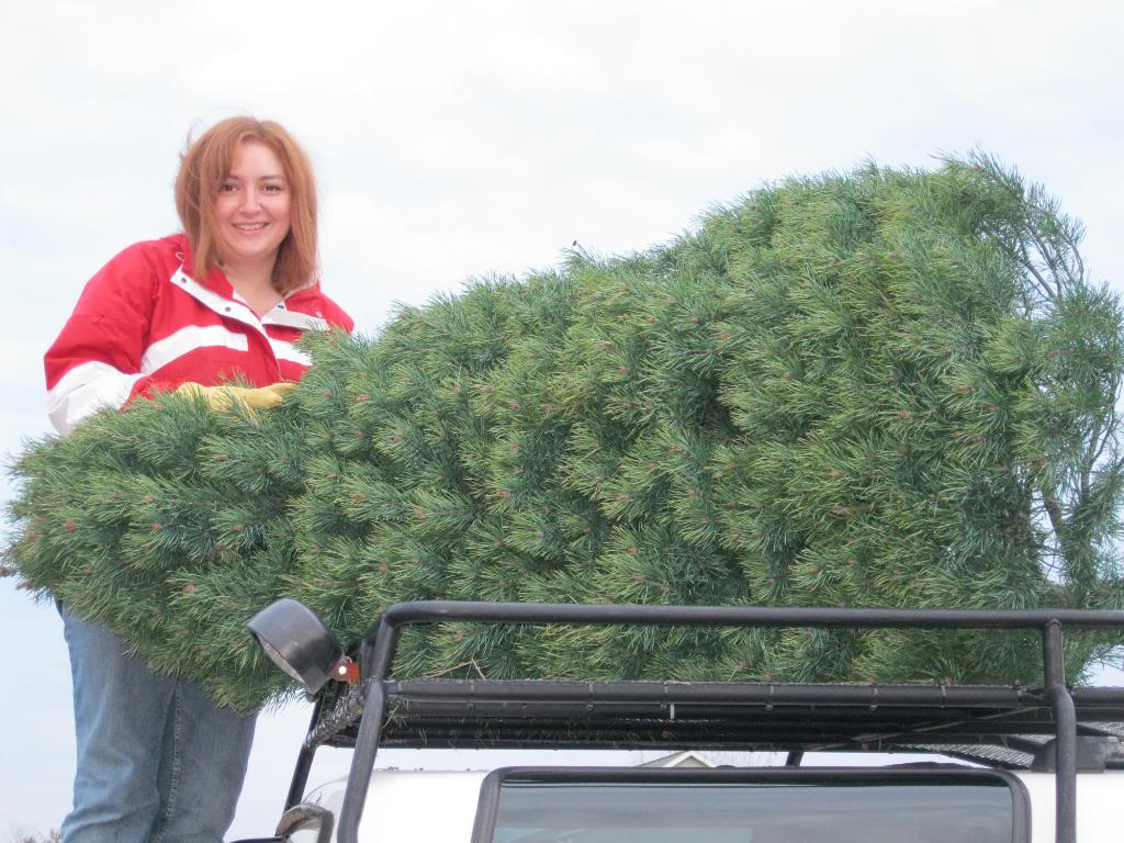 Name:  IMG_0231.jpg
Views: 657
Size:  131.1 KB