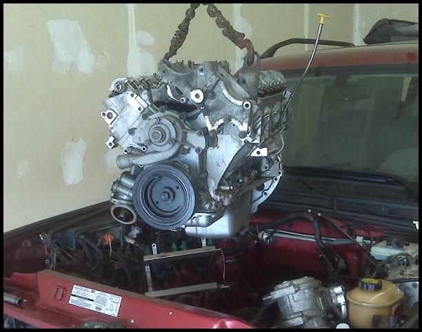 Name:  Engine-Going-In-SM.jpg
Views: 80
Size:  58.2 KB