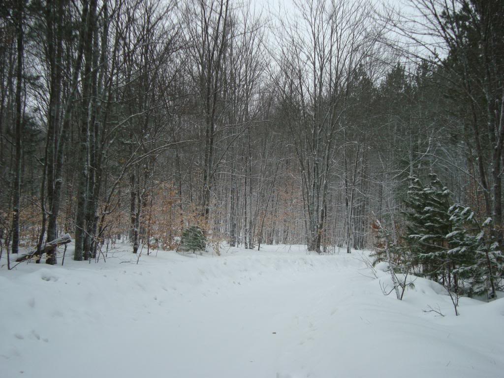 Name:  DSC02235.jpg
Views: 47
Size:  146.0 KB