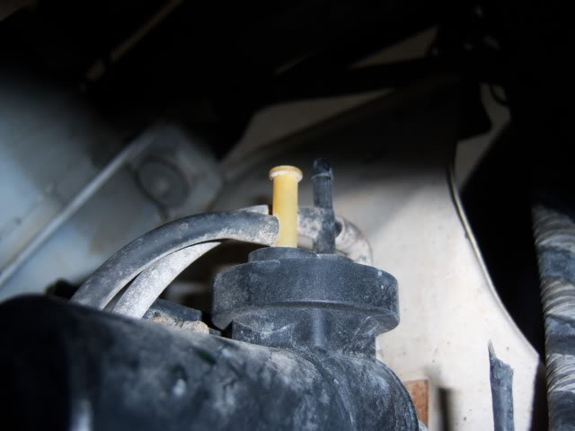 Name:  100_1137.jpg
Views: 121
Size:  56.9 KB