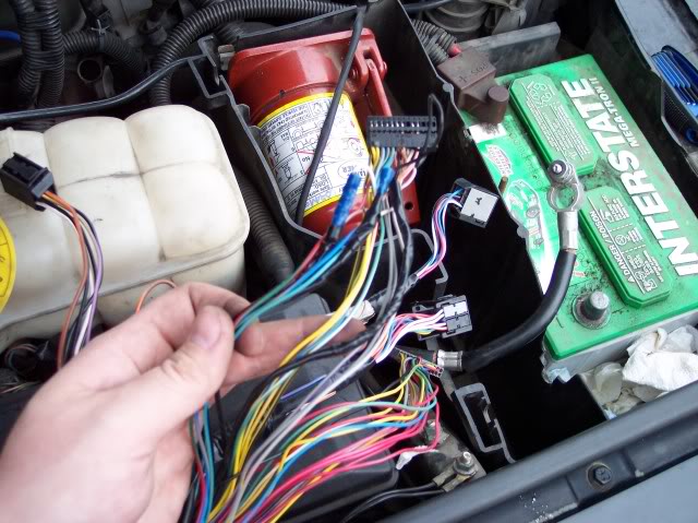 Name:  100_1814.jpg
Views: 22
Size:  75.1 KB