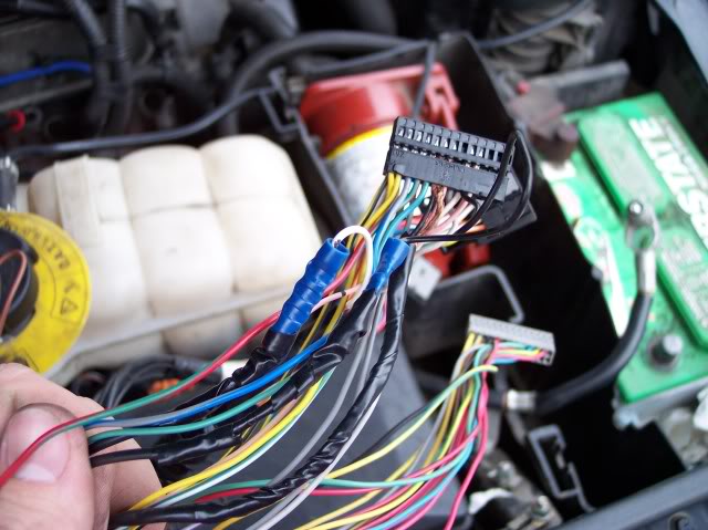 Name:  100_1815.jpg
Views: 25
Size:  56.7 KB