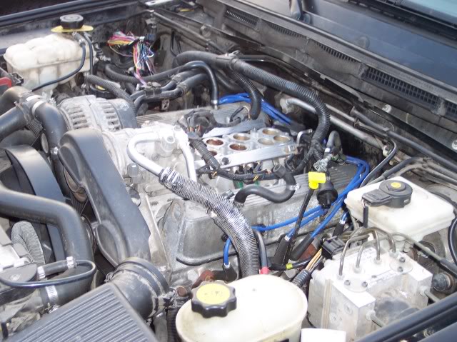 Name:  100_1823.jpg
Views: 21
Size:  79.5 KB