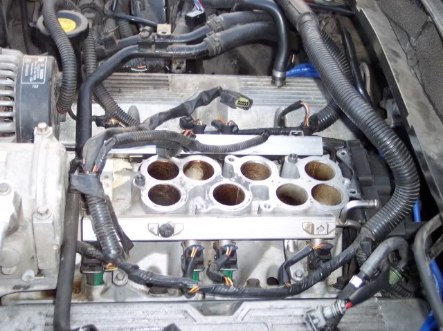 Name:  100_1824.jpg
Views: 26
Size:  75.8 KB