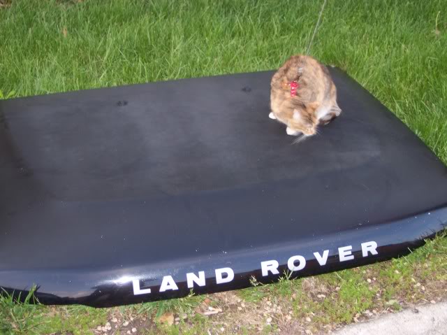 Name:  100_1826.jpg
Views: 22
Size:  55.6 KB