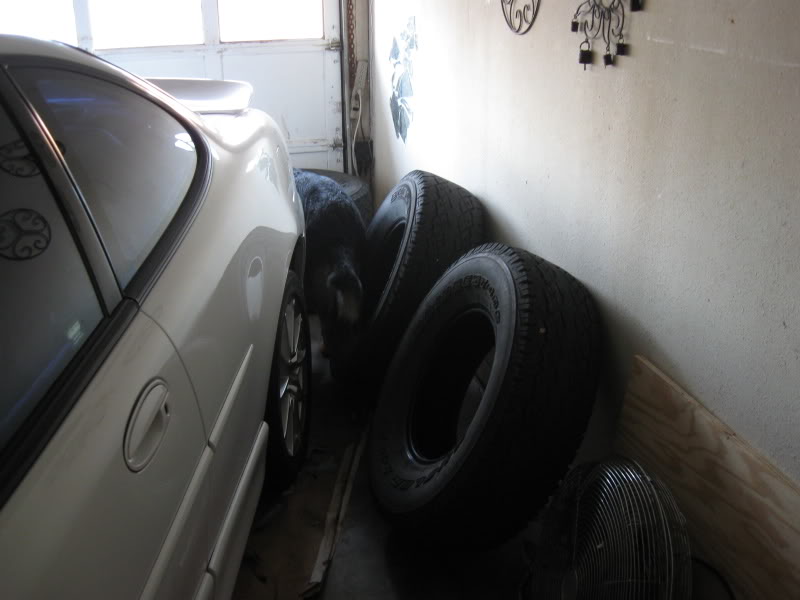 Name:  005-1.jpg
Views: 28
Size:  50.1 KB