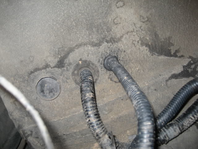 Name:  IMG_2165.jpg
Views: 772
Size:  67.5 KB