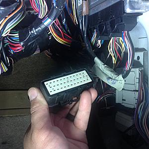 What did you do with your DII today?-img_1335.jpg