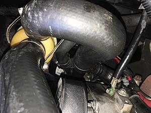 Coolant hose question-radhose.jpg