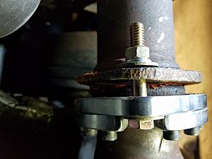 Cats installed today-20170902_154338.jpg