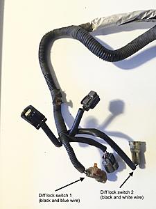 2004 CDL Switches Wiring to pin 7 - C0681-2004-cdl-harness-1-paul-grant-.jpg