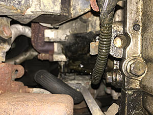 Coolant leak. Head gasket?-photo911.jpg