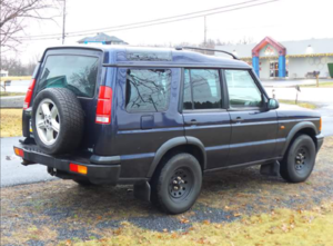 What did you do with your DII today?-disco-2-3.png