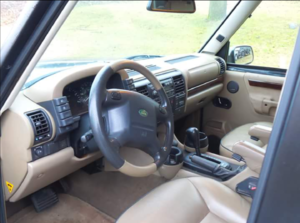 What did you do with your DII today?-disco-2-2.png