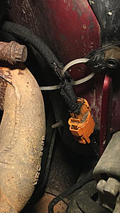 still getting P0134-photo134.jpg