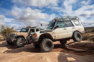 What did you do with your DII today?-029a6919.jpg