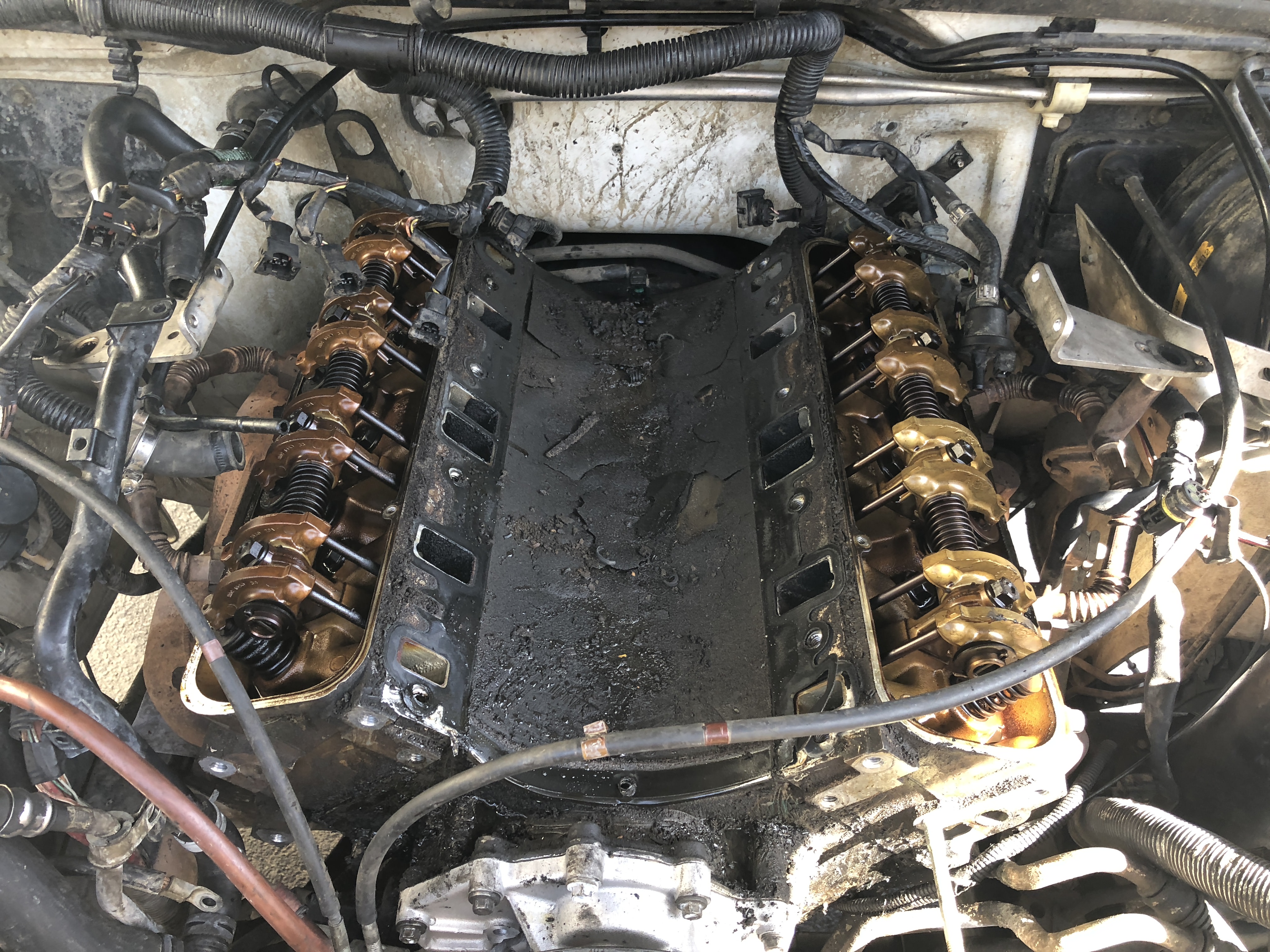 Name:  gLRZdkM.jpg
Views: 72
Size:  2.45 MB