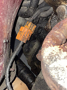 Clips that hold wiring for the upstream O2 sensors-photo477.jpg