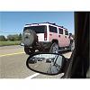 Hummer Hummor-pinky.jpg