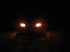 Project Completed - Finally-img_0004.jpg