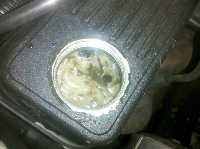 Name:  IMG_20110617_194934.jpg
Views: 113
Size:  80.9 KB