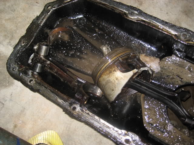 Name:  IMG_0284.jpg
Views: 38
Size:  85.4 KB