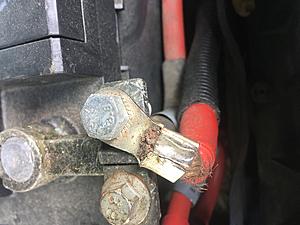 Newbie needing help-2019-07-06-004.jpg