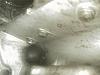 Smoke when slowing down...???-plug_on_other_side1.jpg