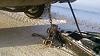HEADS UP trailer pullers-1485081_10155203939060383_8678043415102557895_n.jpg
