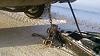 Need Help Removing Tow Hitch Assembly-1485081_10155203939060383_8678043415102557895_n.jpg