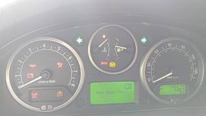 Seriously angry LR3-20170807_082118.jpg