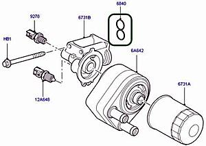 Coolant leak @ oil cooler-41-wzhxrtsl._ac_.jpg