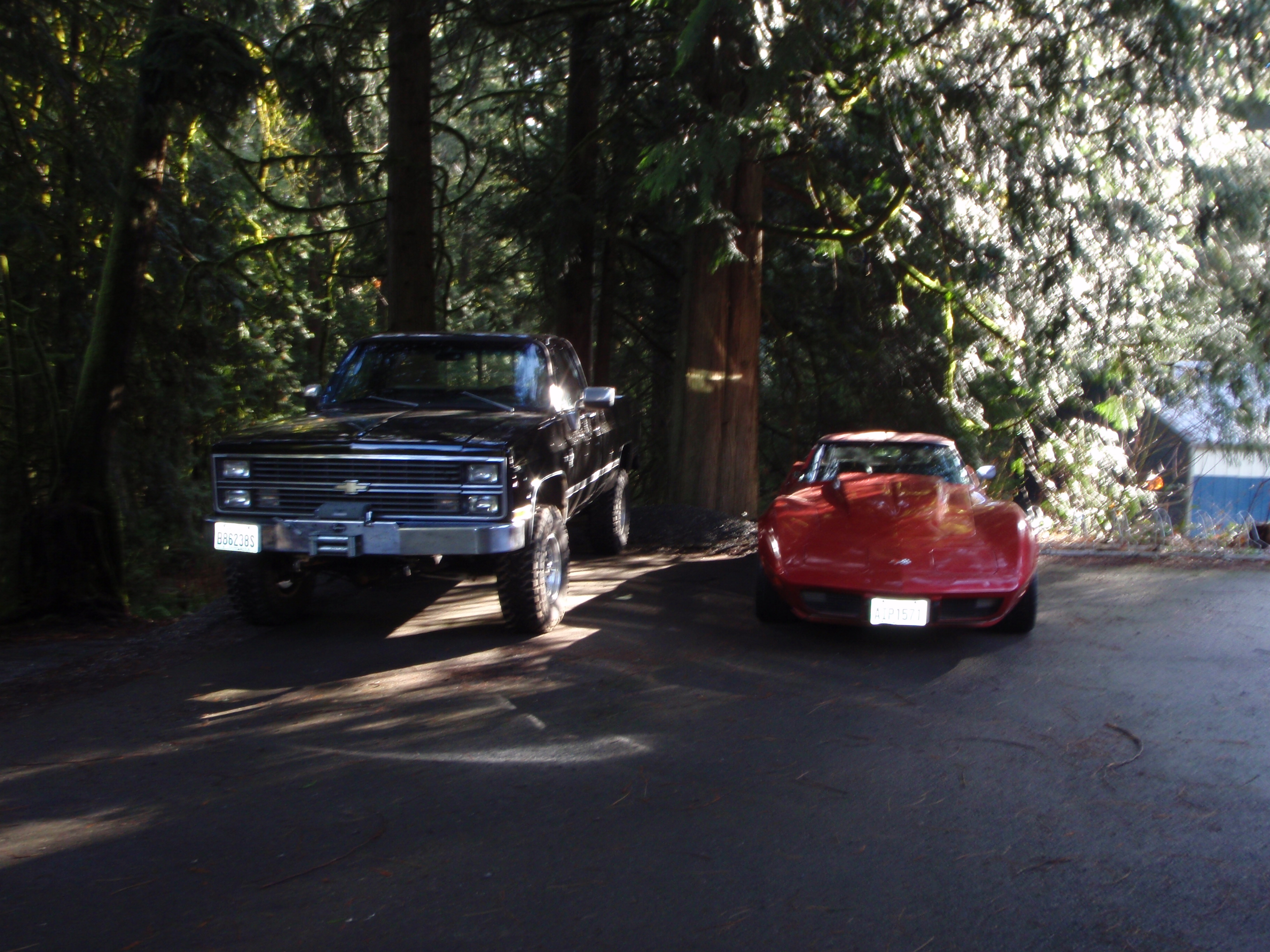 Name:  P3030004_zps6ebd4759.jpg
Views: 49
Size:  2.07 MB