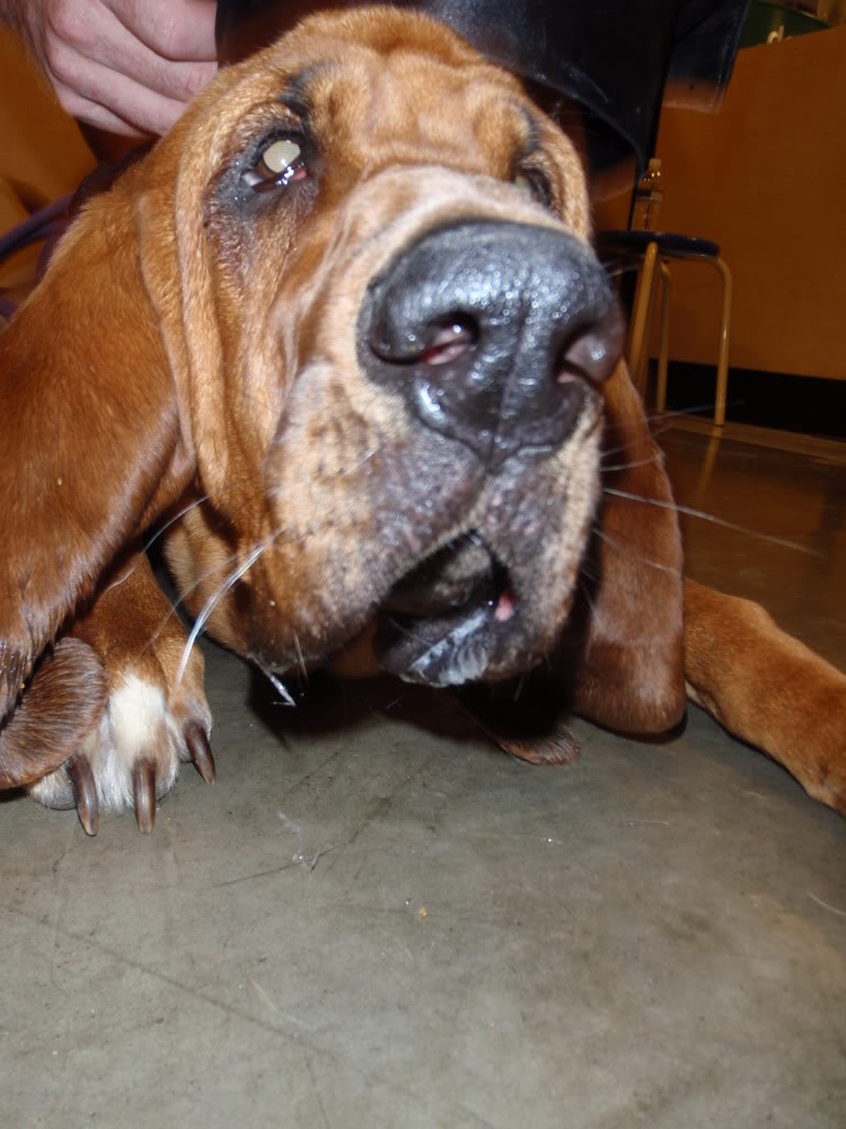 Name:  PA100030.jpg
Views: 95
Size:  105.9 KB