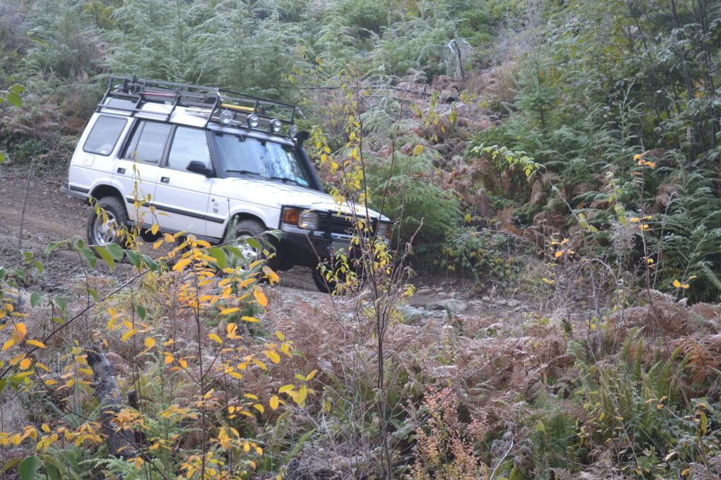 Name:  DSC_0286.jpg
Views: 115
Size:  251.7 KB