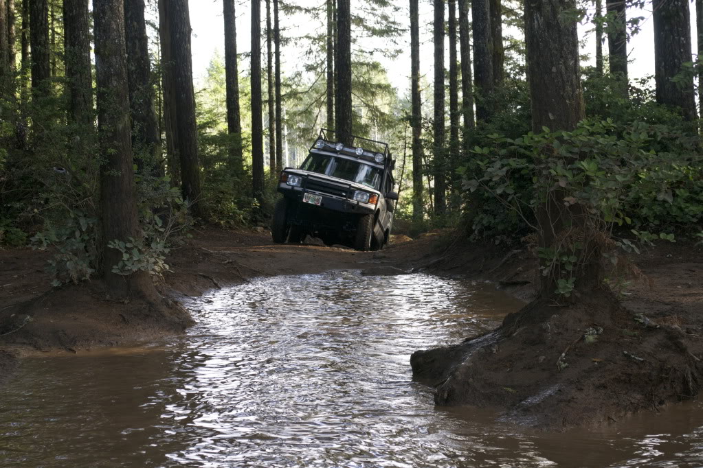 Name:  DSC_0428-1.jpg
Views: 132
Size:  205.9 KB