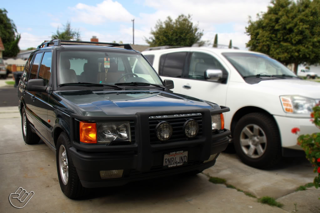 Name:  rangie.jpg
Views: 328
Size:  98.2 KB