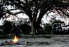 Someone asked for these photos of my Africa-my-campsite-kubu-island-makgadikgadi-botswana.jpg