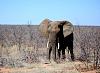 Someone asked for these photos of my Africa-just-age-feel-insecure-quickly.jpg