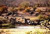 Someone asked for these photos of my Africa-morning-freshness.jpg