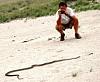 Someone asked for these photos of my Africa-me-makgadikdi-black-mamba-viewed-safety-montero.jpg