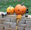 Lets see those Pumpkins-pumpkins.jpg