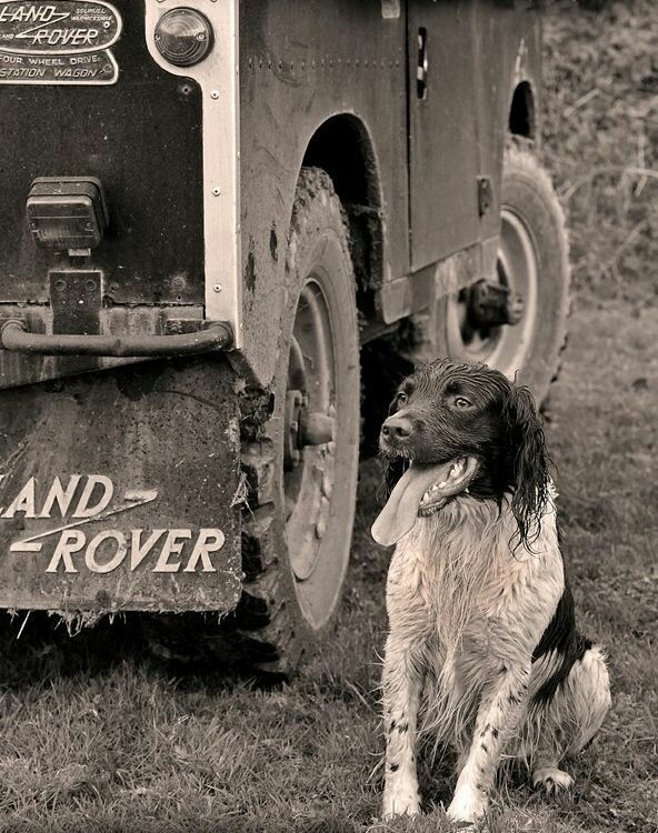 Name:  23bc719ed1168078df9e3570f5a53d0b_zpsid7vqgdm.jpg
Views: 199
Size:  134.3 KB