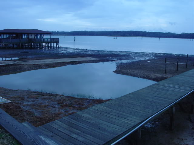 Name:  DFWEastTexas032.jpg
Views: 43
Size:  46.6 KB