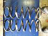 F and R HD standard height springs for D2-resized-spring-photo-1.jpg