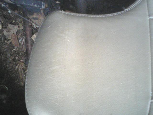 Name:  082111_091902-1.jpg
Views: 103
Size:  27.6 KB