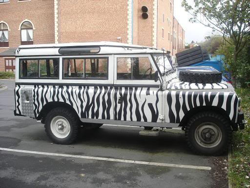 Name:  DSC04128.jpg
Views: 769
Size:  47.9 KB